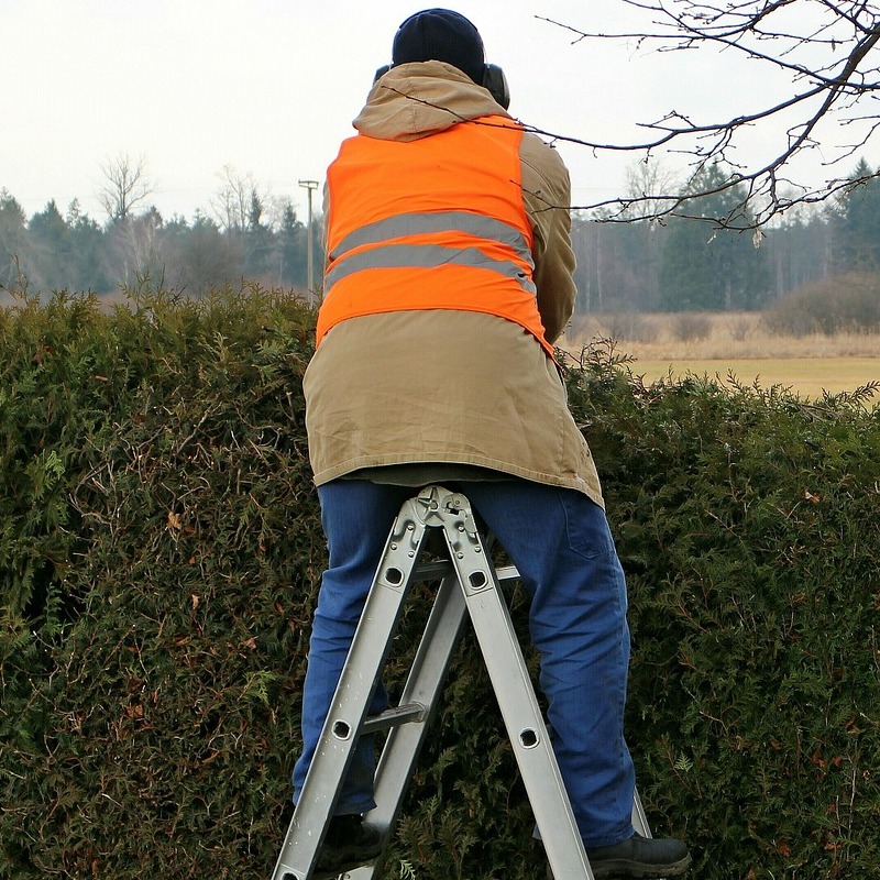 Ladder Safety For General Industry Course